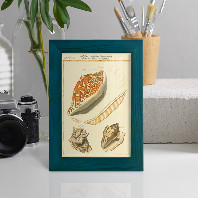 Coquilles de martini antique III sur papier, Bleu, H 6 po x l 4 po x P 1 po