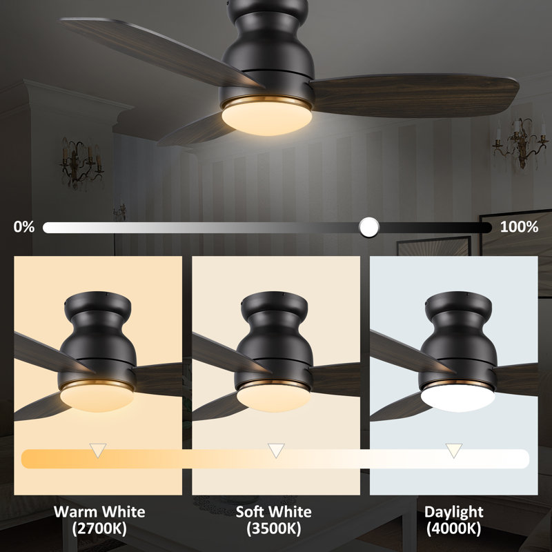 Frederikson 44'' Ceiling Fan with LED Lights, Black