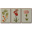 Botanical Array IV - 3 pièces d'une seule photo sur toile-97759172-97759173