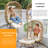 Outdoor Club Chairs with Ottomans and Cushion