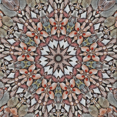Oriental Indoor Rug