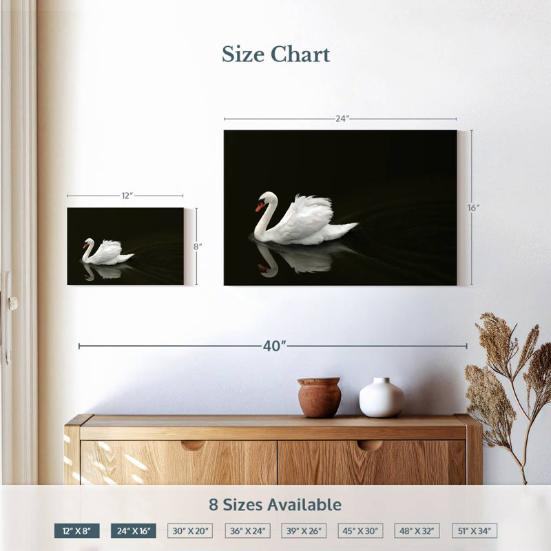Brampt White Swan Elegance