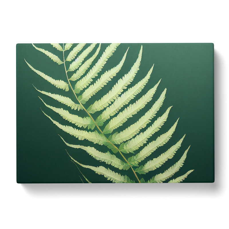 Eccentric Fern Leaf - Wrapped Canvas Print, 35cm H x 50cm W x 3cm D