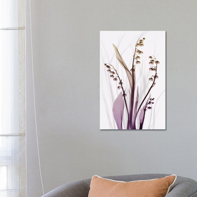 Radiant Snowdrops IV by Albert Koetsier - Wrapped Canvas Print