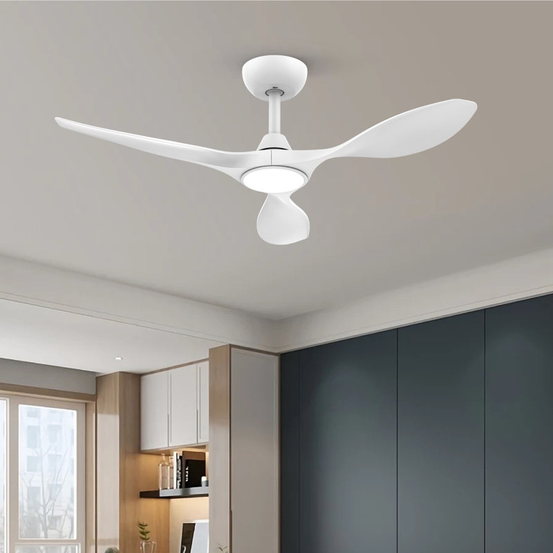 Ventilateurs de plafond de 42 pouces avec lumières et télécommande - blanc, Blanc