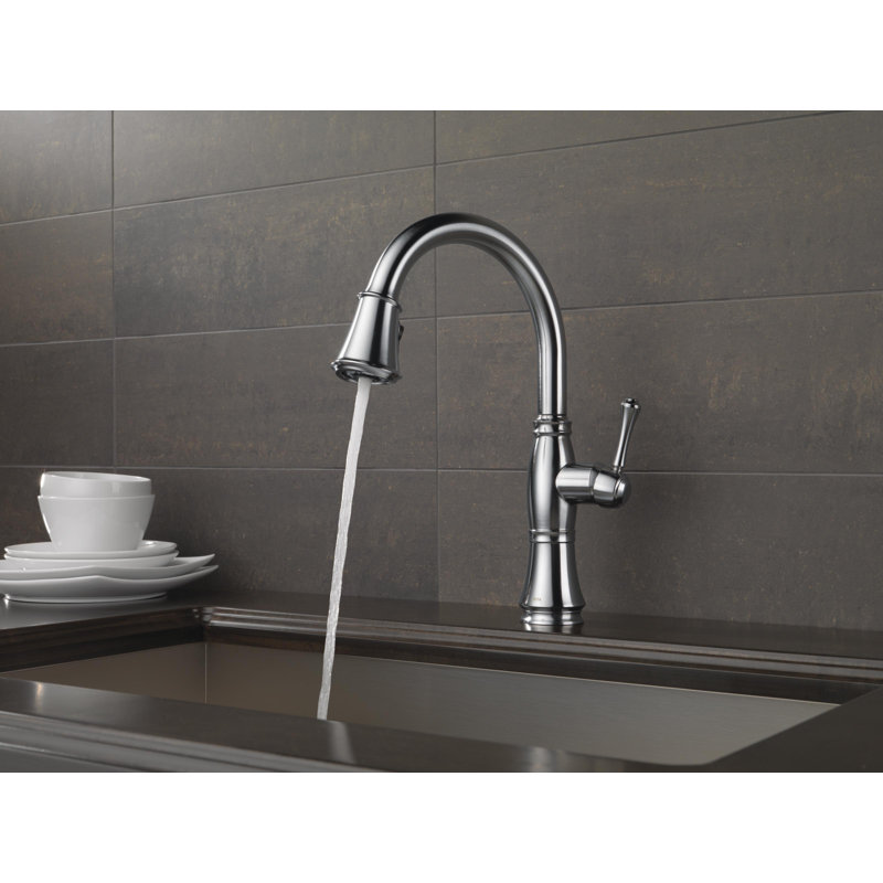 Cassidy™ Pull Down Sprayer Kitchen Sink Faucet, Single Handle Kitchen Faucet, Arctic Stainless