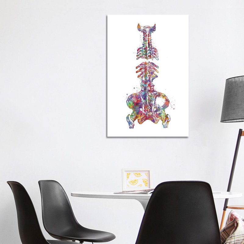 Spine Pelvis - Wrapped Canvas Print, 101.6 cm H x 66.04 cm W x 1.91 cm D