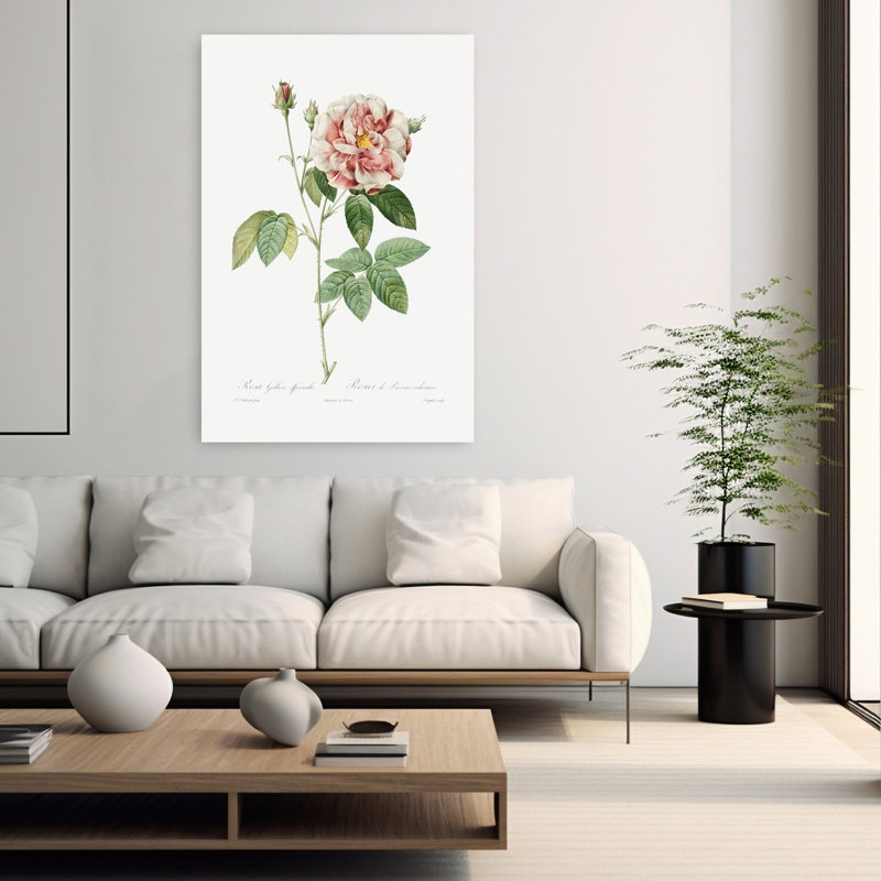 Rosa Gallica, art abstrait rétro rétro avec paysage floral, H 60 po x l 40 po