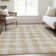 Premium Machine Washable Prisco Beige Rug