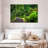 Hawaii Jungle Road-373017740