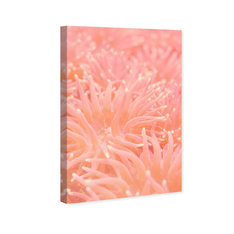 Deep Sea Flowers Print by Oliver Gal, 24"H x 16"W, Gallery Wrapped
