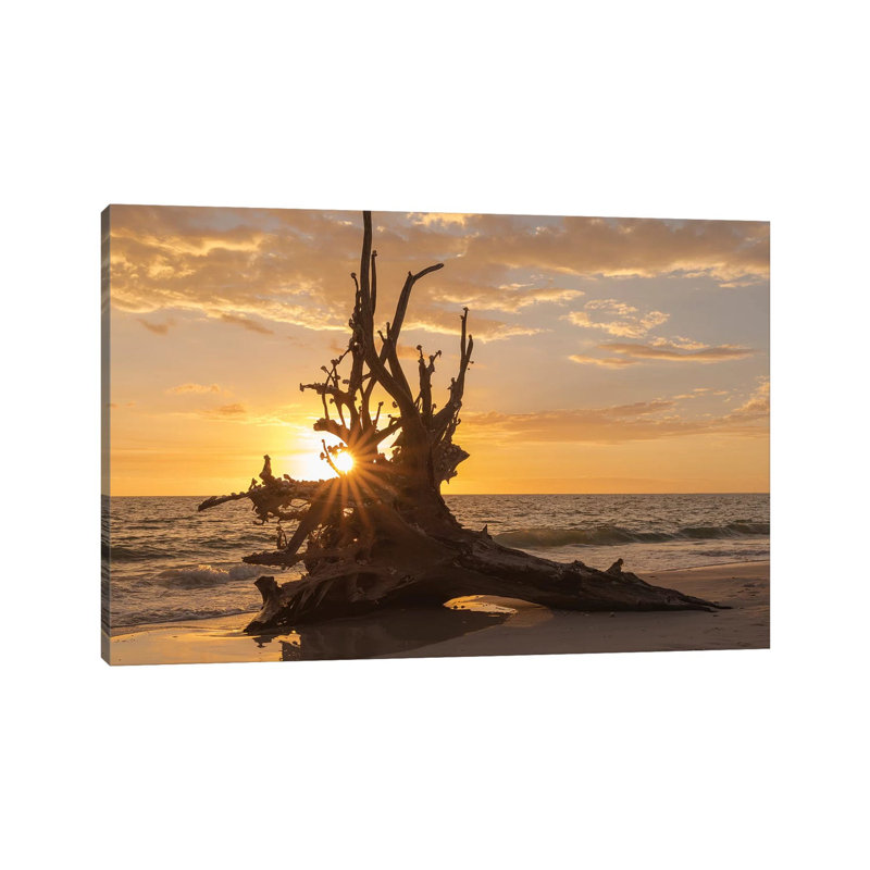 Sunset At Lovers Key State Park, Florida by Maresa Pryor - Wrapped Canvas Gallery-Wrapped Canvas Giclée