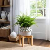 Leaf Applique Woven Planter