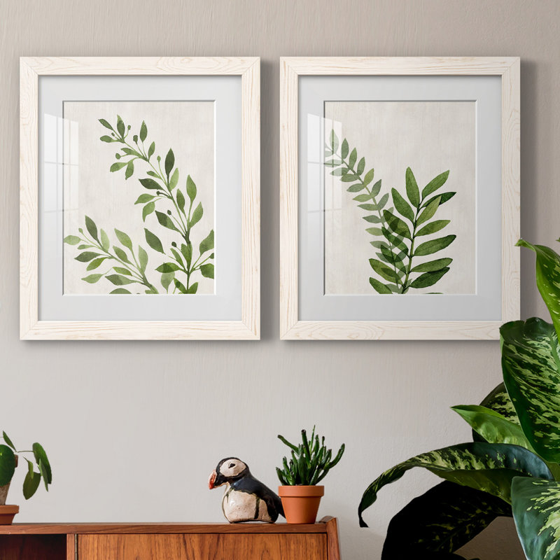 Botanical Wash I - ensemble de 2 reproductions, H 24 po x l 36 po x P 1,5 po, Blanc, Papier encadré blanc