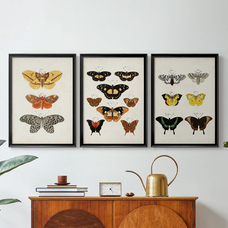 «Vintage Butterflies IV» - Toile tendue avec châssis sur mesure - 3 pièces, Noir, H 21 po x l 30 po