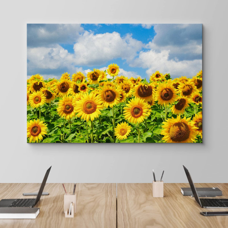 Sunflower " Cloudy Summer Sunflower Field ", 24'' H x 36'' W