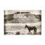 Art mural sur toile «Bachelor Nathan Larson Summer Range»-101102428