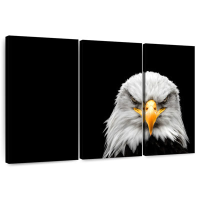 Angry Bald Eagle