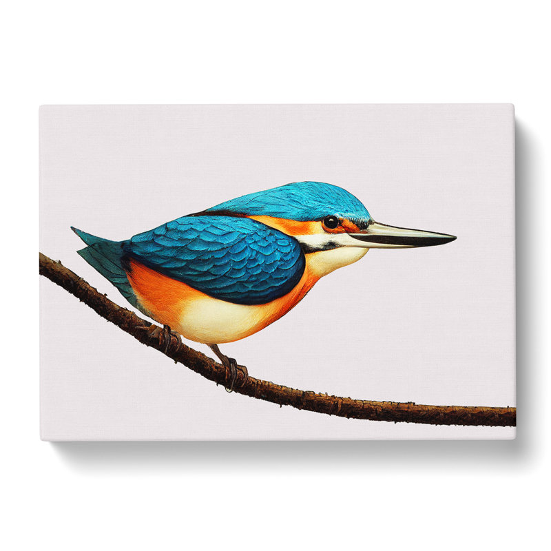 Dreamy Kingfisher Bird - Wrapped Canvas, 35cm H x 50cm W x 3cm D