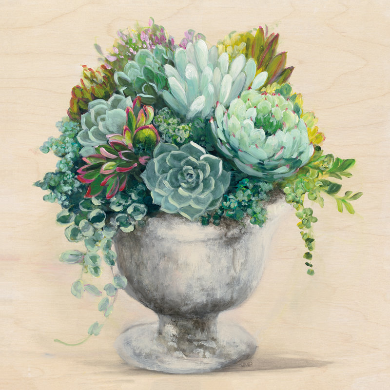 Festive Succulents I - Wrapped Canvas Painting, 30cm H x 30cm W