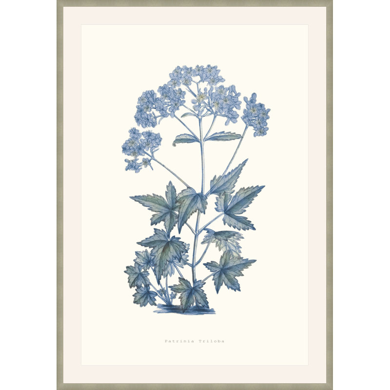 Bouquet Blue 6 Print by Studio L57 Nouvelle, 17.75" H x 13.75" W