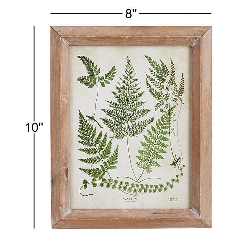 Sannois Frond Study - Ensemble de 6 reproductions de cadres photo sur papier