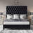 Jampier Queen Black Diamond-Tufted Velvet Sleigh Bed with Nailhead Trim-1672255054-1672255051