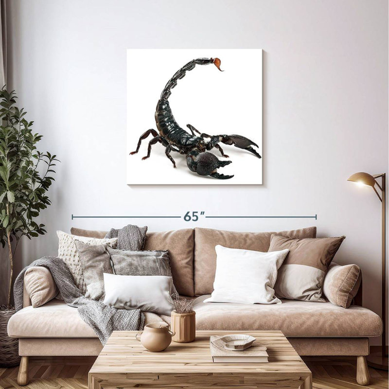 Crowle Scorpion, 36" H x 36" W