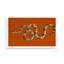 Serpent Acrylic Rectangle Decorative Tray-676245780-719961829