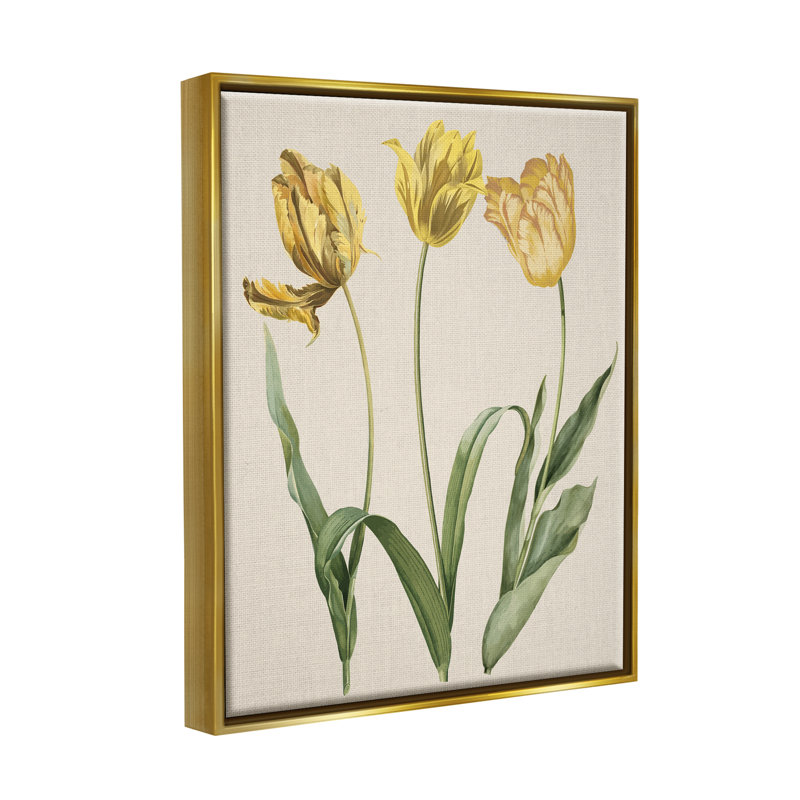 Three Tulip Sprigs Gold Framed Canvas Art Print