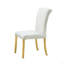 Chaise d'appoint de style contemporain 2pc-1179578678-1179578679