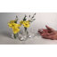 Ensemble de 5 vases à fleurs Mila