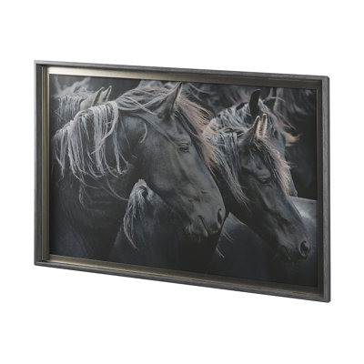 «Majestic Admiration a», reproduction d'art encadrée sous verre