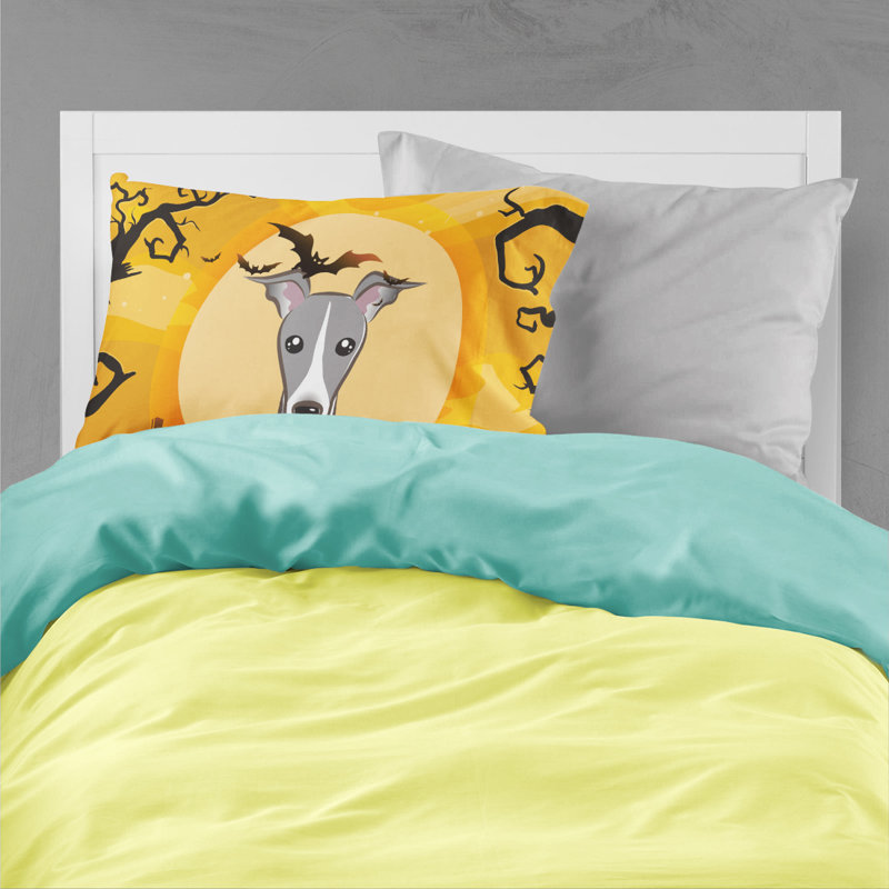Microfiber, Italian Greyhound