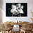 Harnek Magnolia In Bloom II-108104836