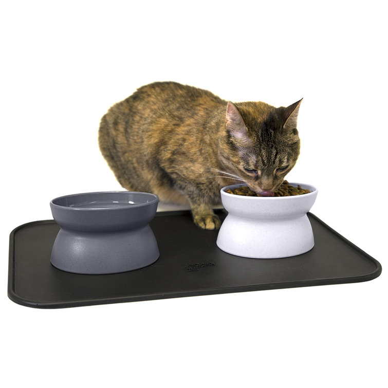 https://assets.wfcdn.com/im/99665607/resize-h755-w755%5Ecompr-r85/2191/219115902/Kitty+City+Raised+Cat+Bowl.jpg