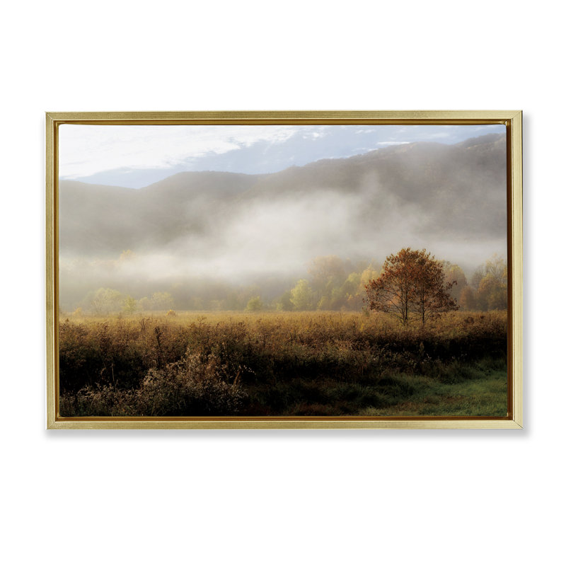Cadre flottant levant le brouillard au-dessus de la nature, design par D. Burt, H 21 po x l 31 po