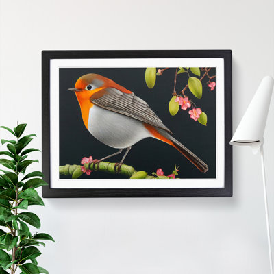 Spellbinding Robin Bird - Framed Print