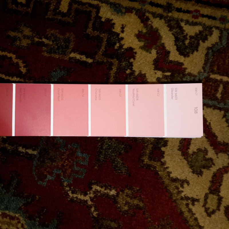Paisleymae Oriental Area Rug in Red