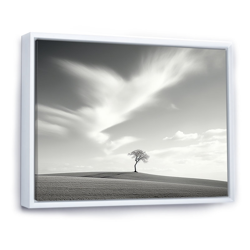 Black And White Solitude Tree In Meadow - Trees Canvas Print, Cadre flottant blanc, 24" H x 32" W x 1" D
