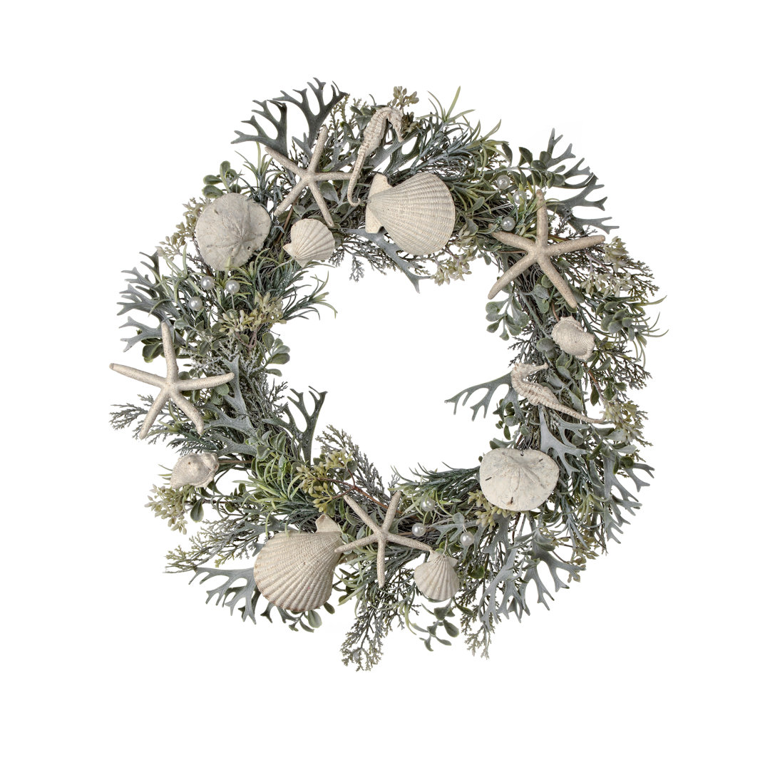 Faux Shell Nautical 22'' Wreath The Holiday Aisle®