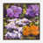 Brown Floater Framed is unavailable