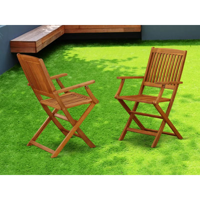 Beasley Patio Dining Folding Arm Chairs - Acacia Wood, Set of 2, Natural Oil