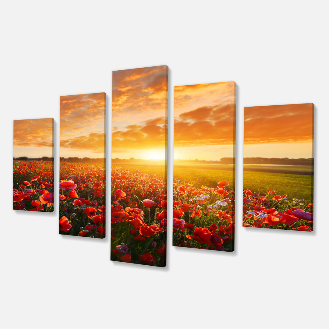 " Beautiful Poppy Field At Sunset " 5 - Pieces Ebern Designs
