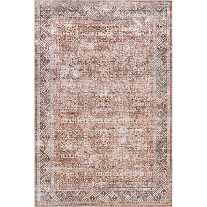 Xenia Faded Transitional SplashGuard Machine Washable Area Rug, Rectangle 4' x 6'