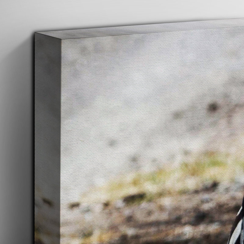 Zebra Rear - Wrapped Canvas, 40cm H x 60cm W