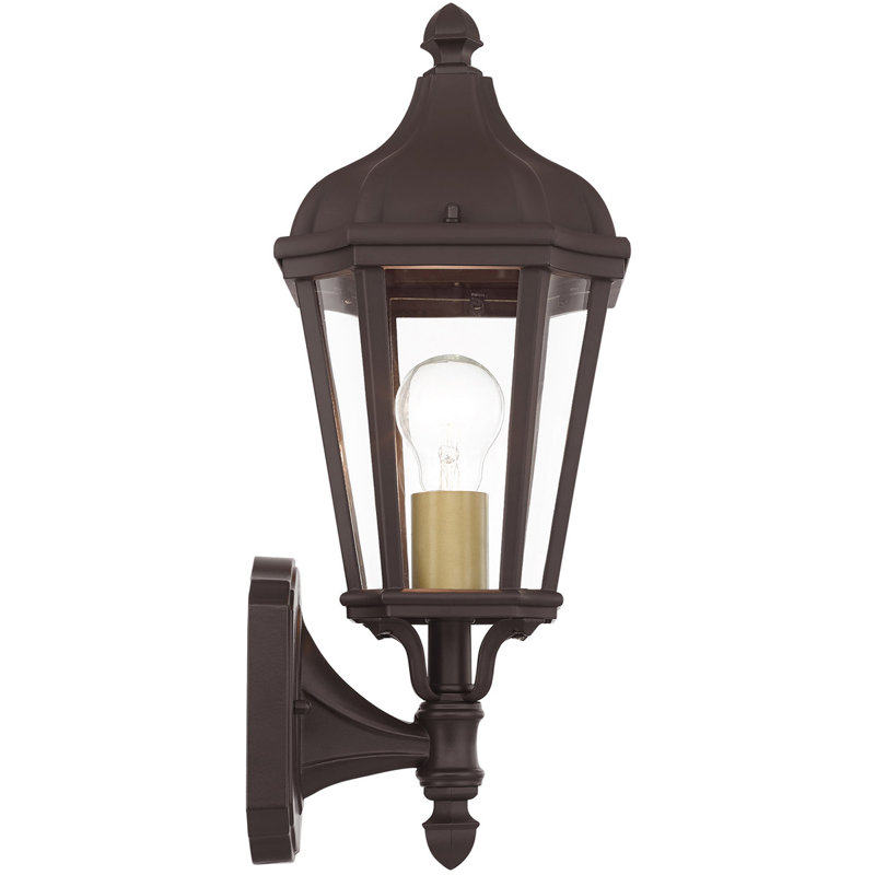 7-Inch 1-Light TBK Outdoor Wall Lantern Clear Glass, Bronze/Satin