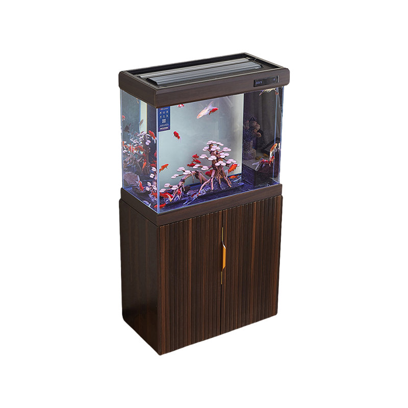 Aquarium 75-83 gallons, 66 gallons (H 61,02 po x l 31,5 po x P 16,54 po)