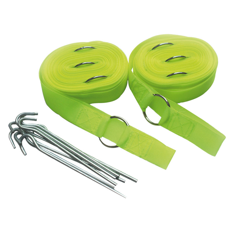 Speedminton Badminton with Carrying Case