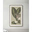 Botanical Jungle 3 Print-1781081064